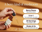 Tranquility mushroom extract drops – berry flavor, 5-in-1 mushroom blend, 30 servings